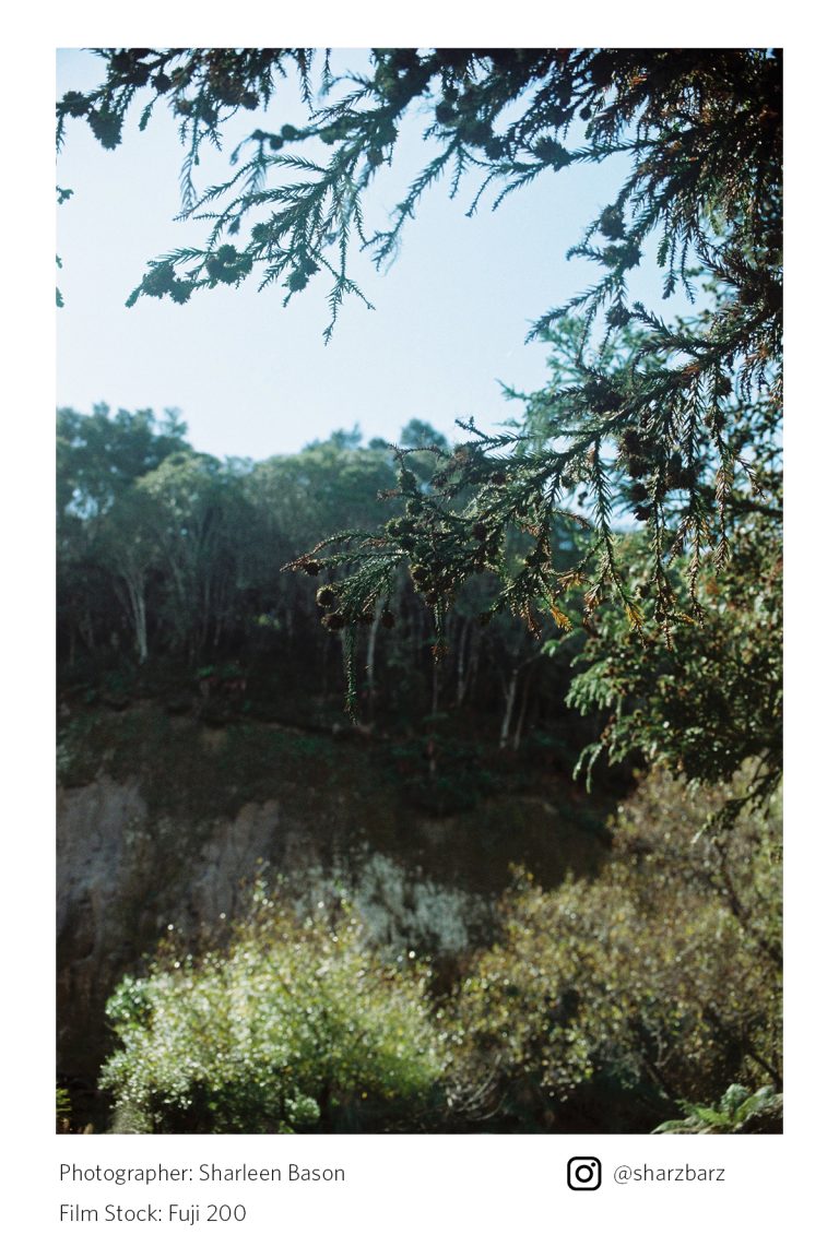 Fujifilm 200 (35mm Film)