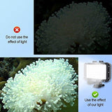 Suptig Underwater Lights Dive Light 84 LED High Power Dimmable Waterproof LED Video Light Waterproof