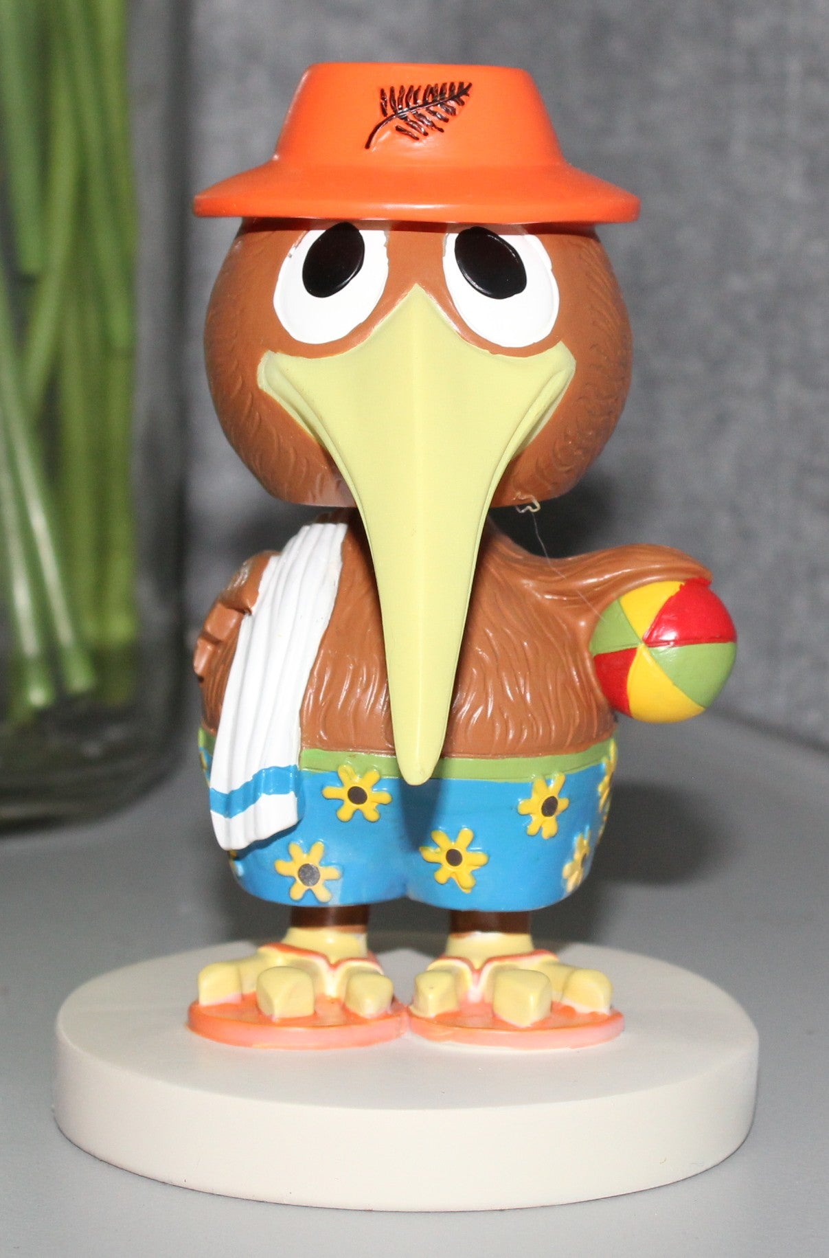 The cheeky Kiwi - Beach Kiwi