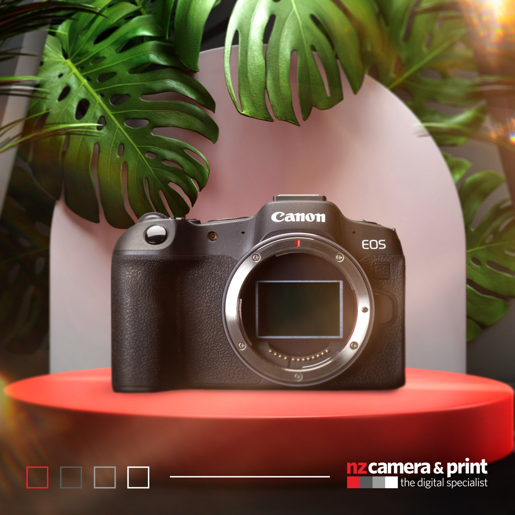 Canon EOS R8 Mirrorless Camera (Body Only)