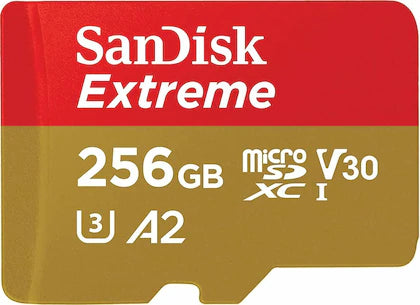 Micro SDXC with Adapter 256gb